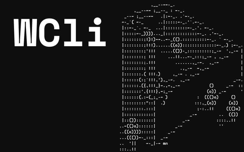WCli screenshot